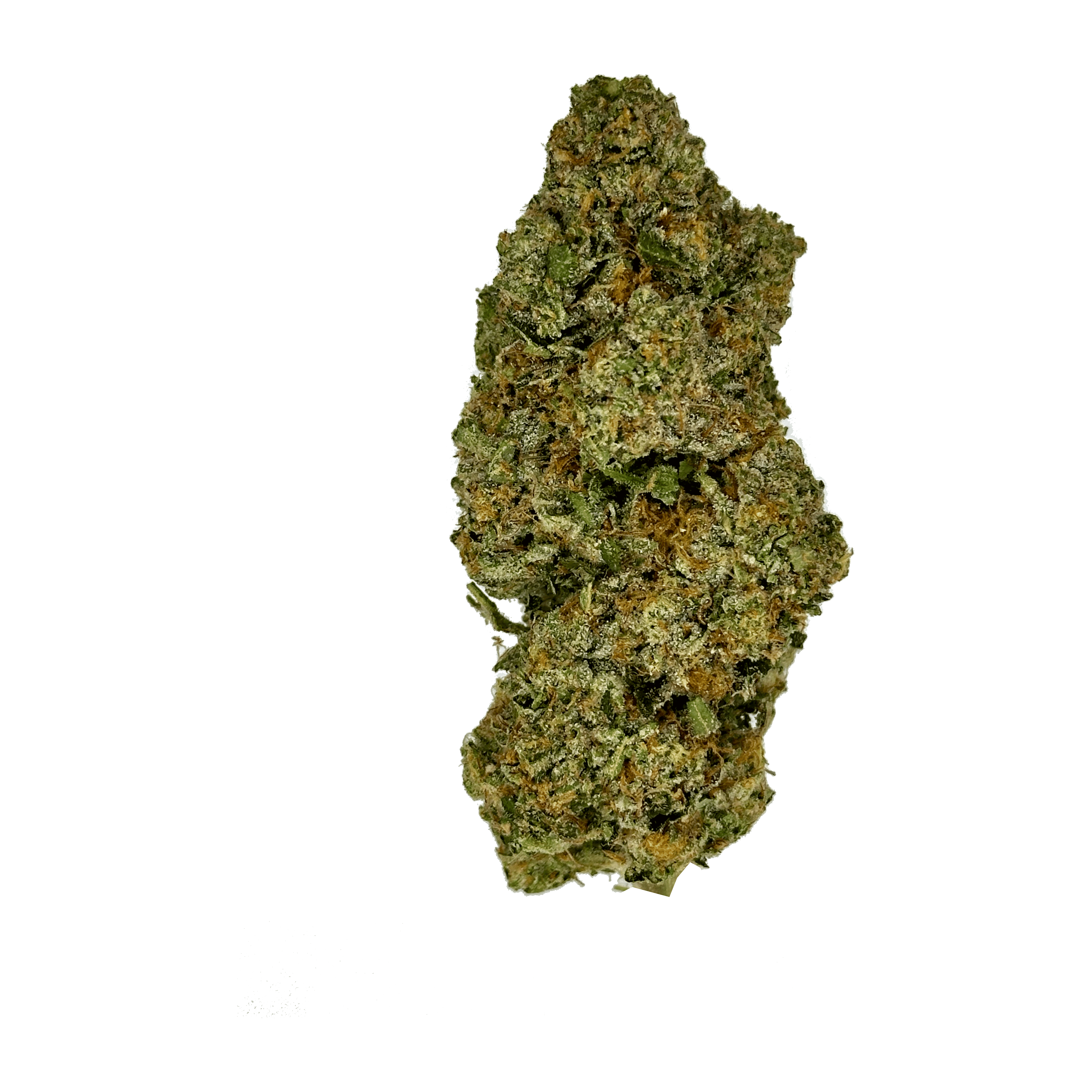 Indoor French Cookies strain - THCA Flower